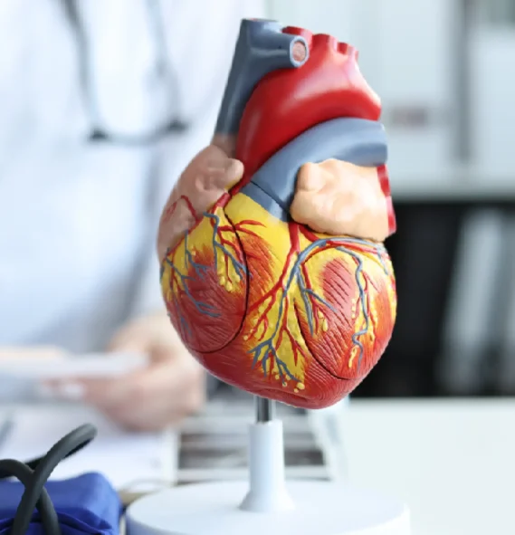 cardiology cardiology